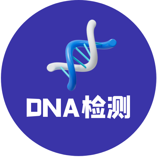 DNA检测